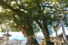 画像をギャラリービューアに読み込む, Tour 松井まつみさんと行く、尾鷲街歩きツアー