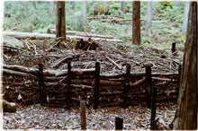 画像をギャラリービューアに読み込む, Tour 大地の再生から海と山のつながりを紐解く、みんなの森ワークショップ