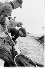 画像をギャラリービューアに読み込む, TOUR 丸友丸定置網漁
