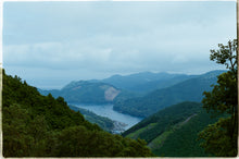 画像をギャラリービューアに読み込む, Tour 大地の再生から海と山のつながりを紐解く、みんなの森ワークショップ