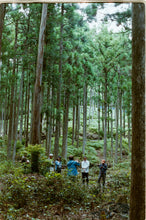 画像をギャラリービューアに読み込む, Tour 大地の再生から海と山のつながりを紐解く、みんなの森ワークショップ